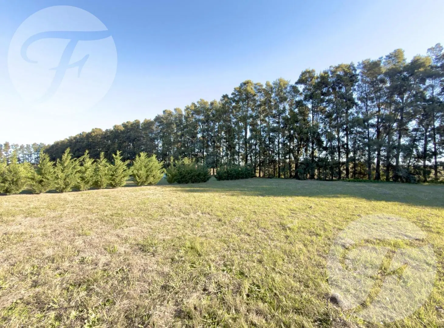 Lote de 1.225 m² en Venta - Barrio Driving Golf – San Pedro, Buenos Aires - Naturaleza y Confort 3