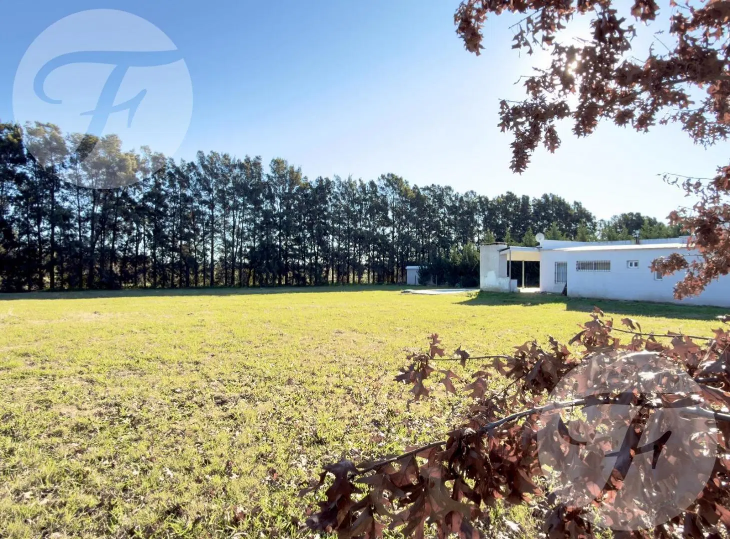 Lote de 1.225 m² en Venta - Barrio Driving Golf – San Pedro, Buenos Aires - Naturaleza y Confort 4