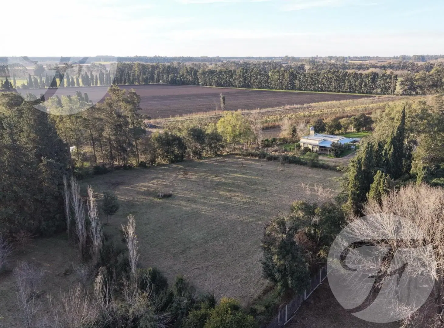 Lote de 4.028 m² en Villa Jardín | San Pedro, Buenos Aires | Entorno arbolado 5