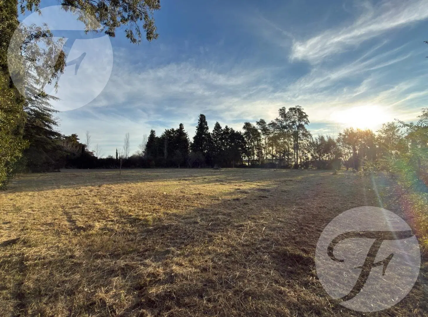 Lote de 4.028 m² en Villa Jardín | San Pedro, Buenos Aires | Entorno arbolado 4