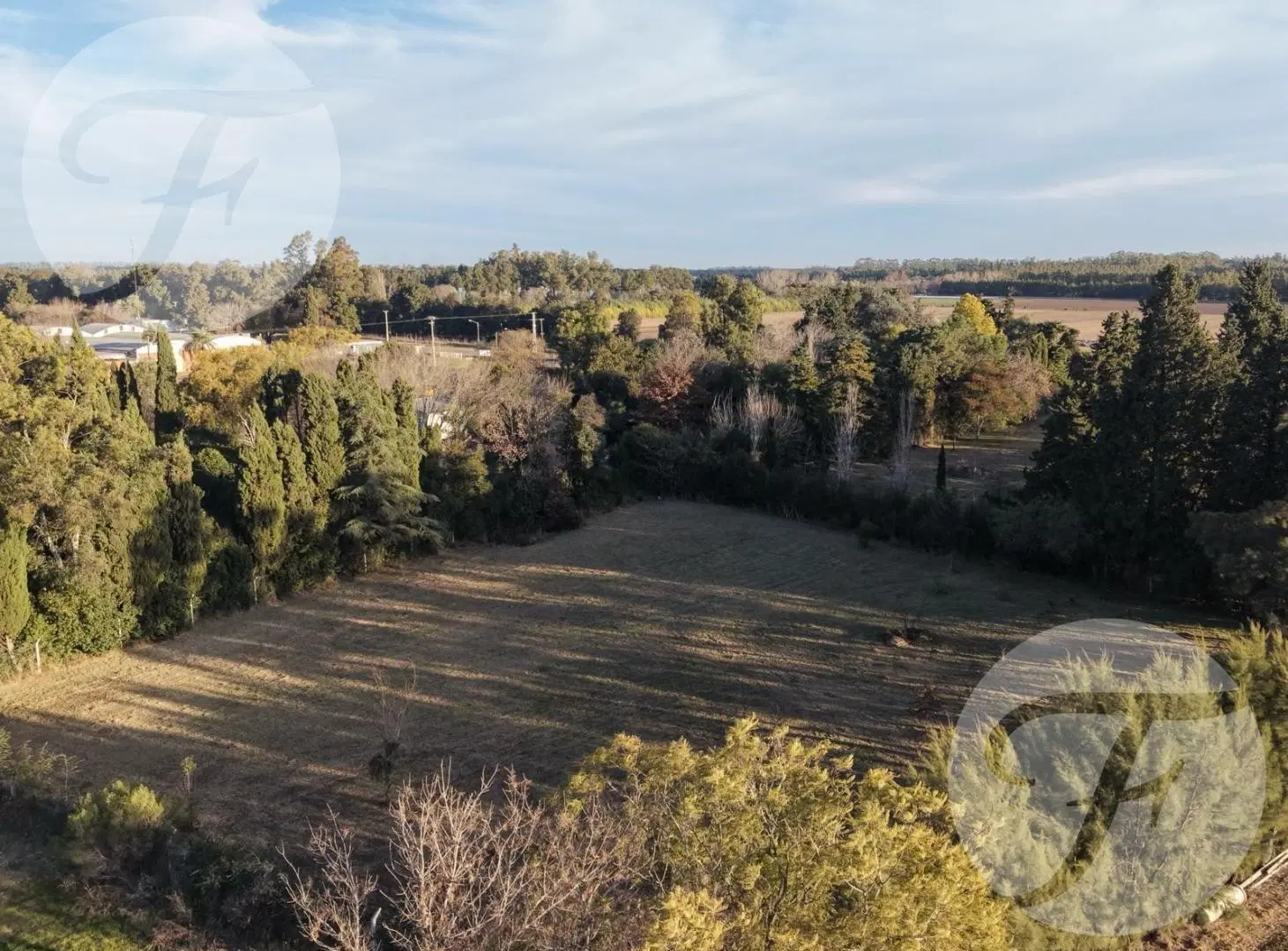 Lote de 4.028 m² en Villa Jardín | San Pedro, Buenos Aires | Entorno arbolado 8