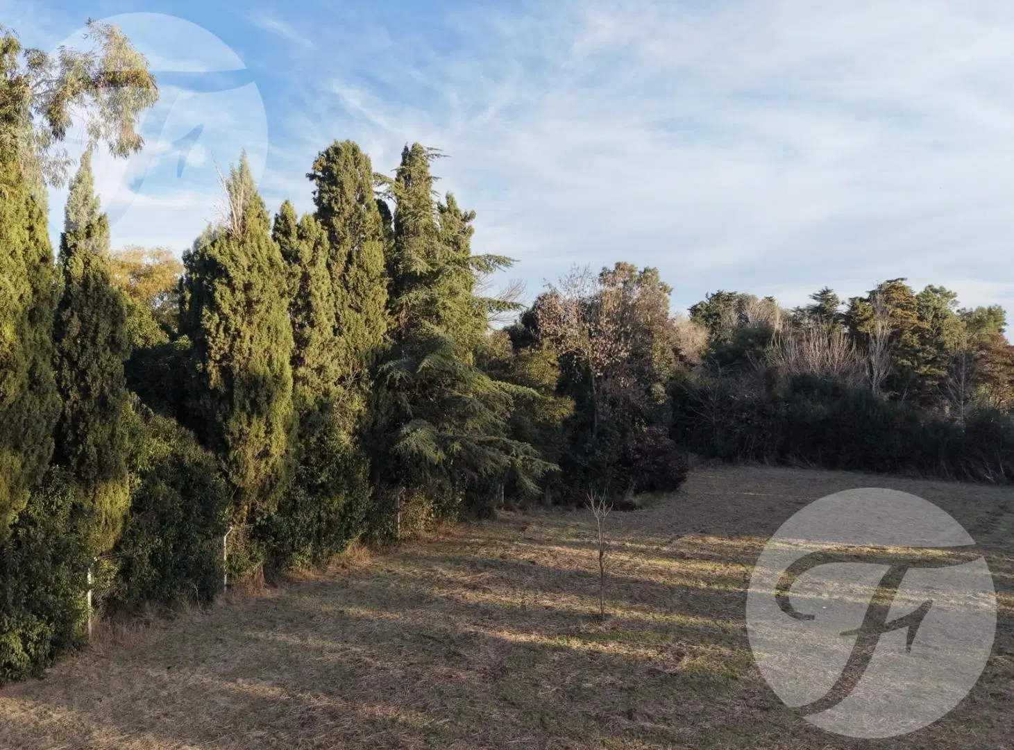 Lote de 4.028 m² en Villa Jardín | San Pedro, Buenos Aires | Entorno arbolado 3