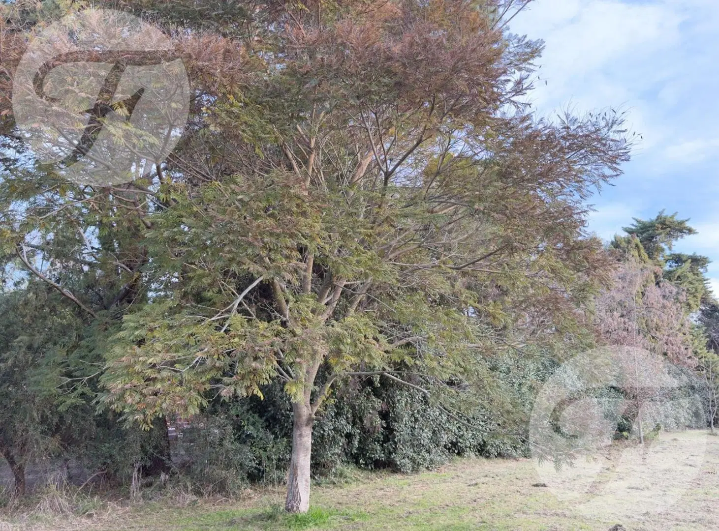 Lote de 3.787 m² sobre pavimento | Villa Jardín | Ideal desarrollo residencial, comercial, turístico 3