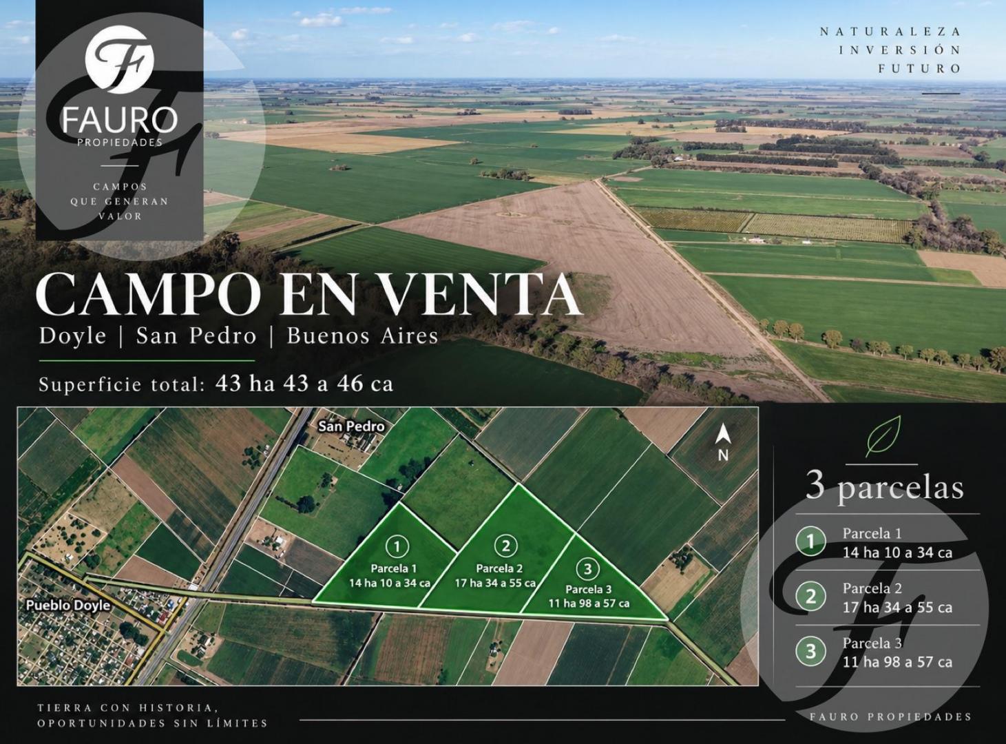 Foto de CAMPO AGRÍCOLA DE 43,43 HECTÁREAS EN VENTA – DOYLE, SAN PEDRO, imagen 4