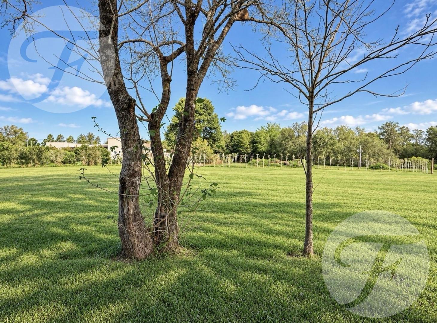 Foto de LOTE DE 994 M² EN VENTA EN APART CLUB SAN PEDRO – BARRIO CERRADO CON, imagen 5
