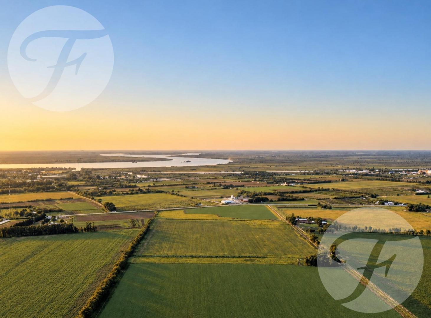 Foto de CAMPO 55 HA EN SAN PEDRO SOBRE RUTA 1001 | ALTO POTENCIAL DE, imagen 3