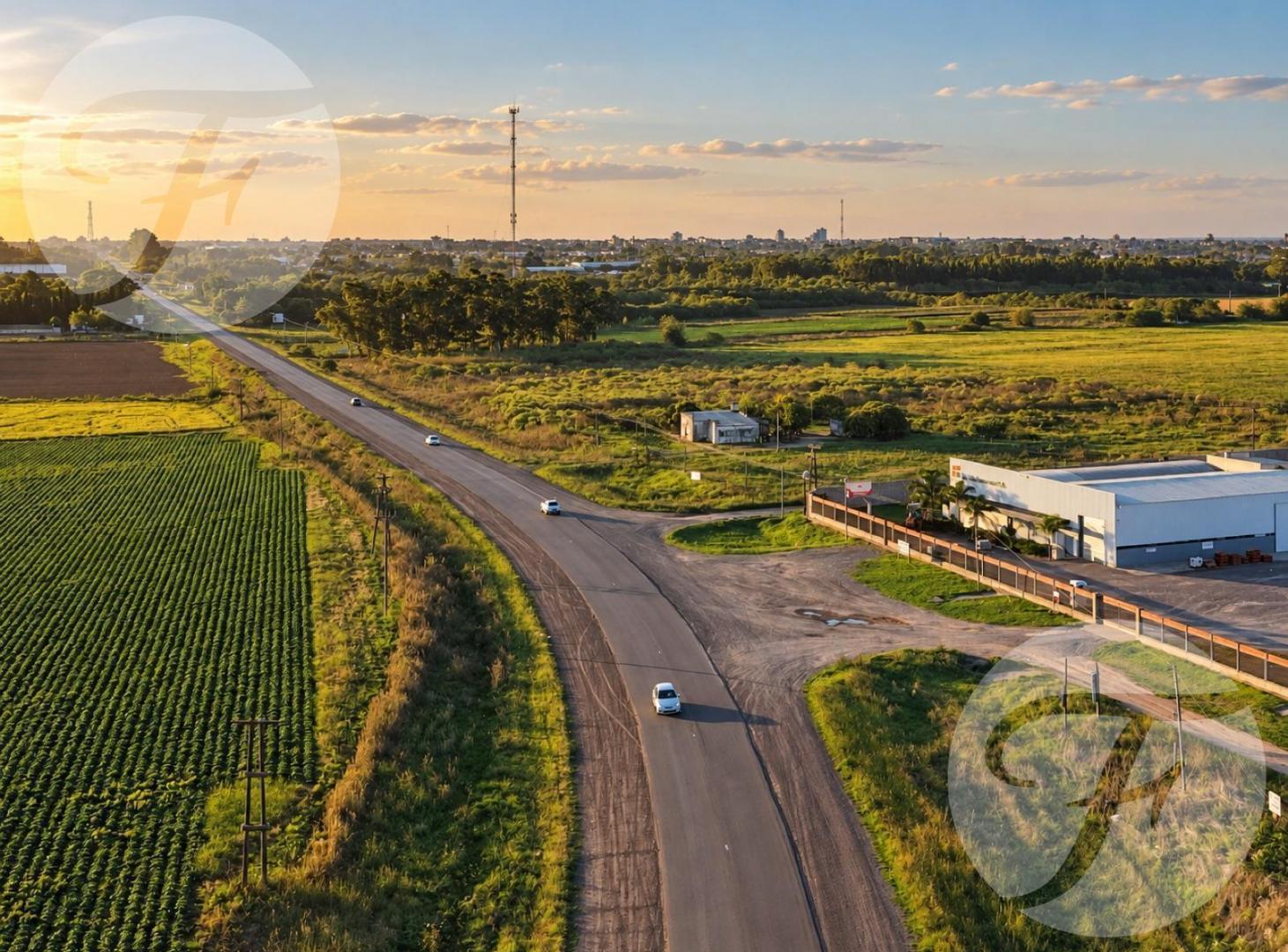 Foto de CAMPO 55 HA EN SAN PEDRO SOBRE RUTA 1001 | ALTO POTENCIAL DE, imagen 2