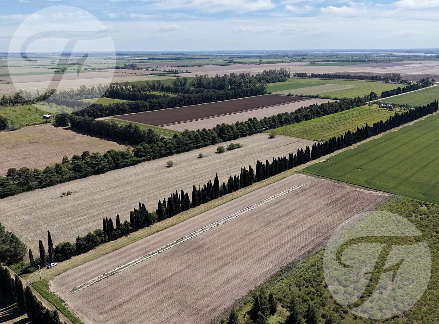 Foto de CHACRA DE 2,5 HECTÁREAS PRODUCTIVAS EN VENTA – GOBERNADOR CASTRO, SAN, imagen 3