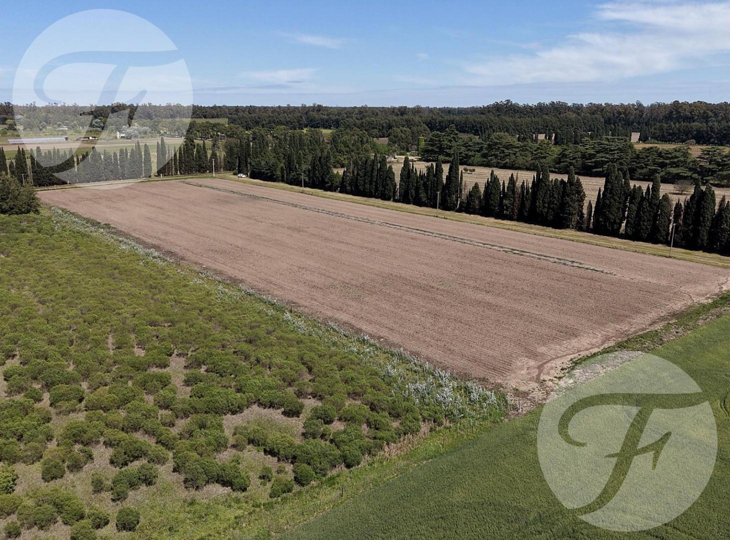 Foto de CHACRA DE 2,5 HECTÁREAS PRODUCTIVAS EN VENTA – GOBERNADOR CASTRO, SAN, imagen 5