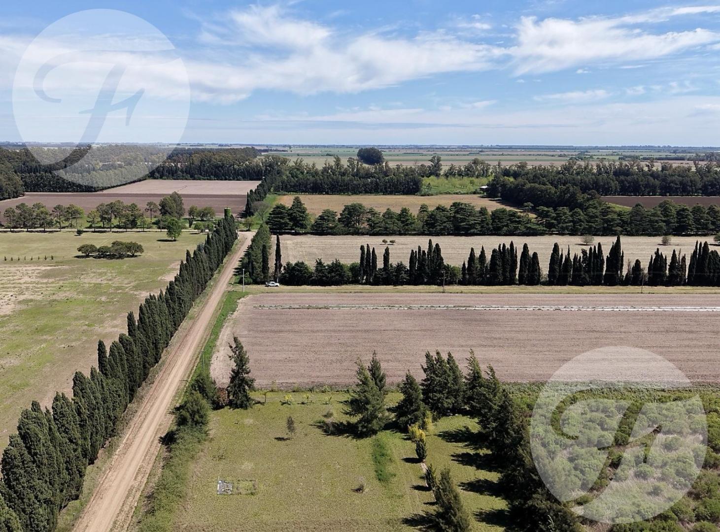 Foto de CHACRA DE 2,5 HECTÁREAS PRODUCTIVAS EN VENTA – GOBERNADOR CASTRO, SAN, imagen 2