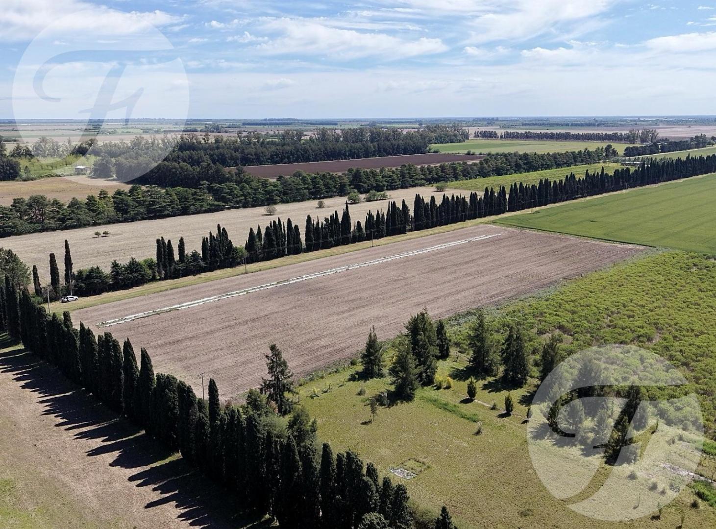 Foto de CHACRA DE 2,5 HECTÁREAS PRODUCTIVAS EN VENTA – GOBERNADOR CASTRO, SAN, imagen 1