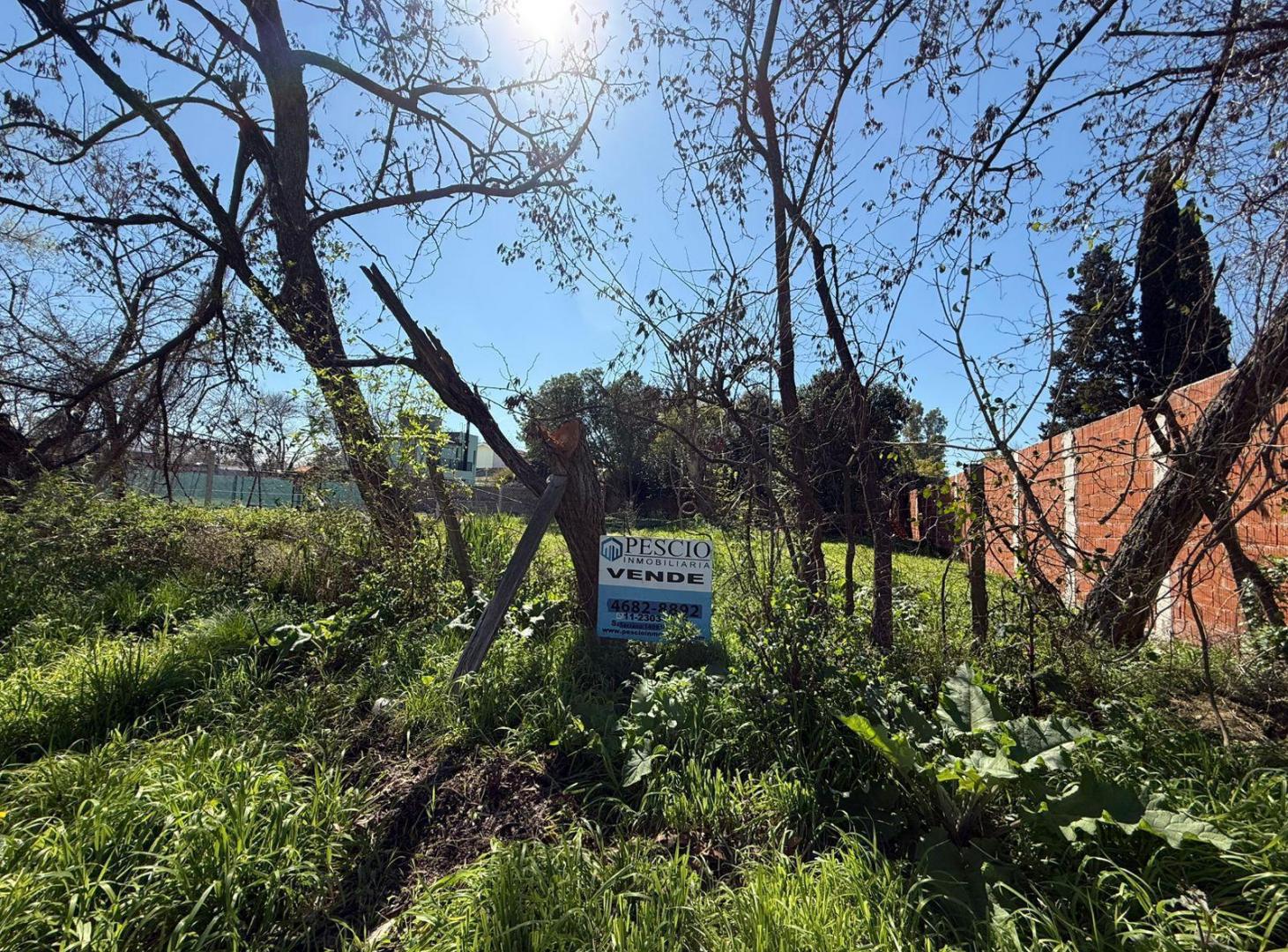 Foto de Terreno en Muñiz- Ideal para inversion, imagen 1
