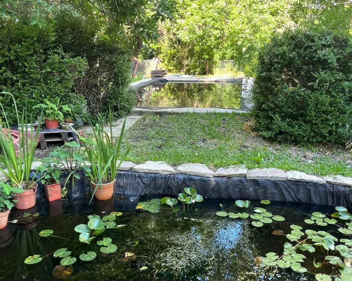 CASA EN VENTA CON PILETA Y AMPLIO TERRENO MORENO 8