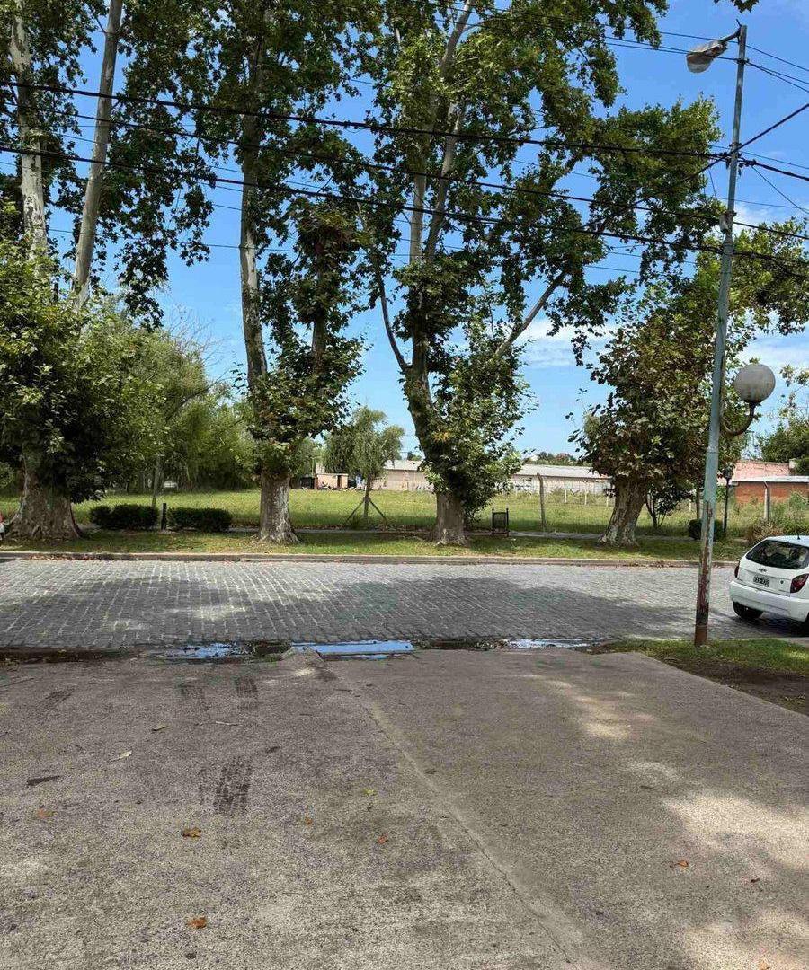 Foto de VENTA LOTE EMPRENDIMIENTO FRENTE AL RIO EN ZARATE, imagen 2