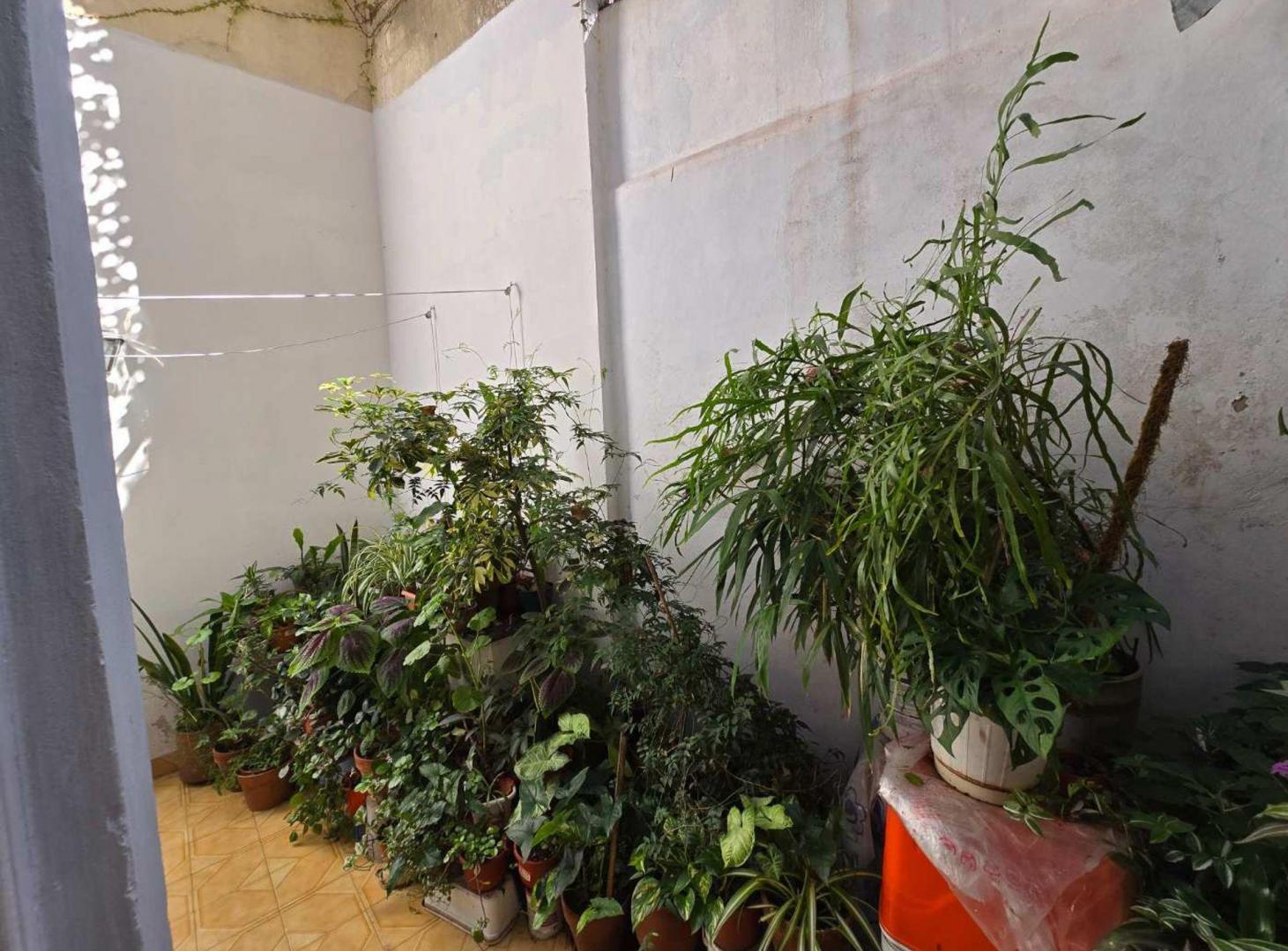 Foto de VENTA MONOAMBIENTE COLEGIALES, imagen 5