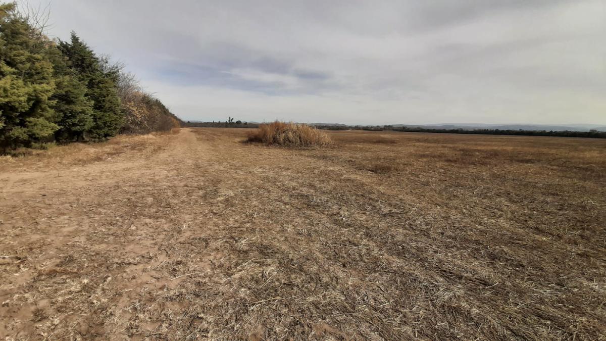 Campo en Anisacate 2