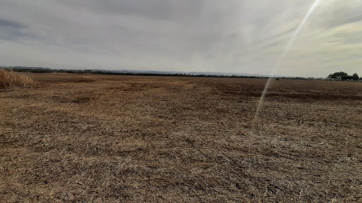 Campo en Anisacate 5