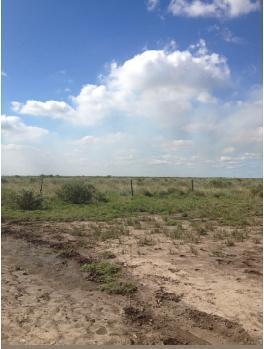 Campo en Venta Agrícola Ganadero 2.812,33 has.