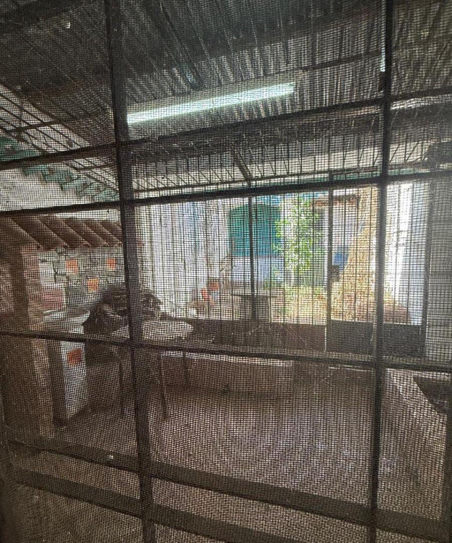Foto de VENTA Bº MAULLER SAN VICENTE CASA 3 HAB + DPTO 1 HAB, imagen 5