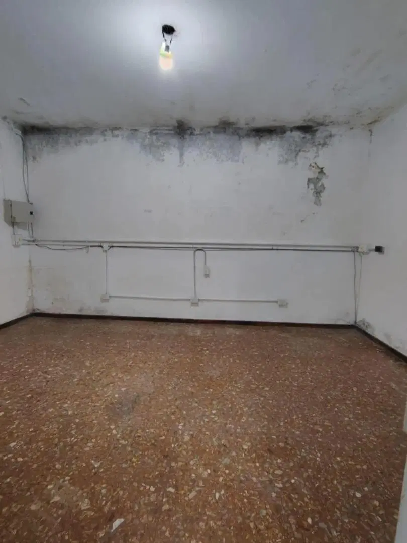 Alquiler de Depósito Comercial en PH al Frente en Colegiales 2