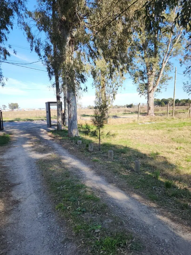 Urbanizacion La Elvira 3