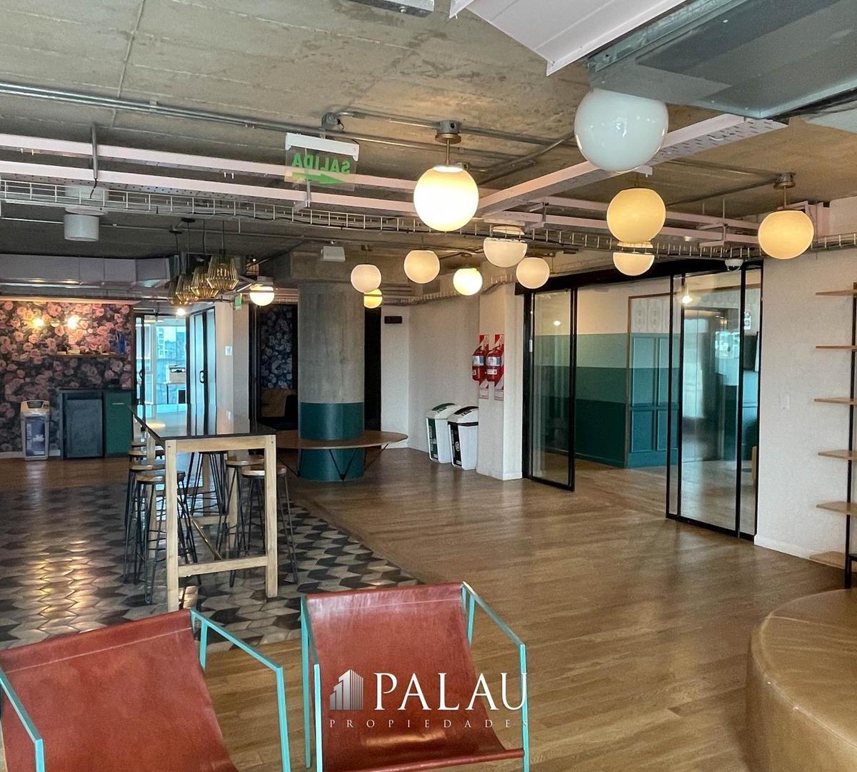 Amoblada - Excelente Oficina de 500 m² Dividida con 4 Cocheras 3