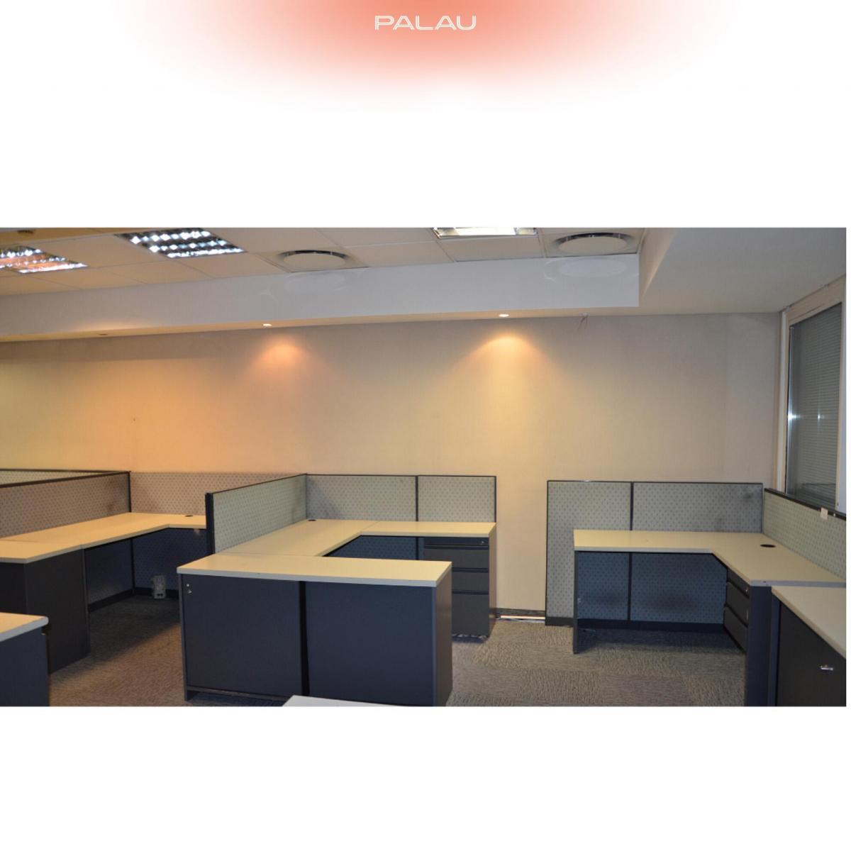Espectacular Local y Oficinas 3