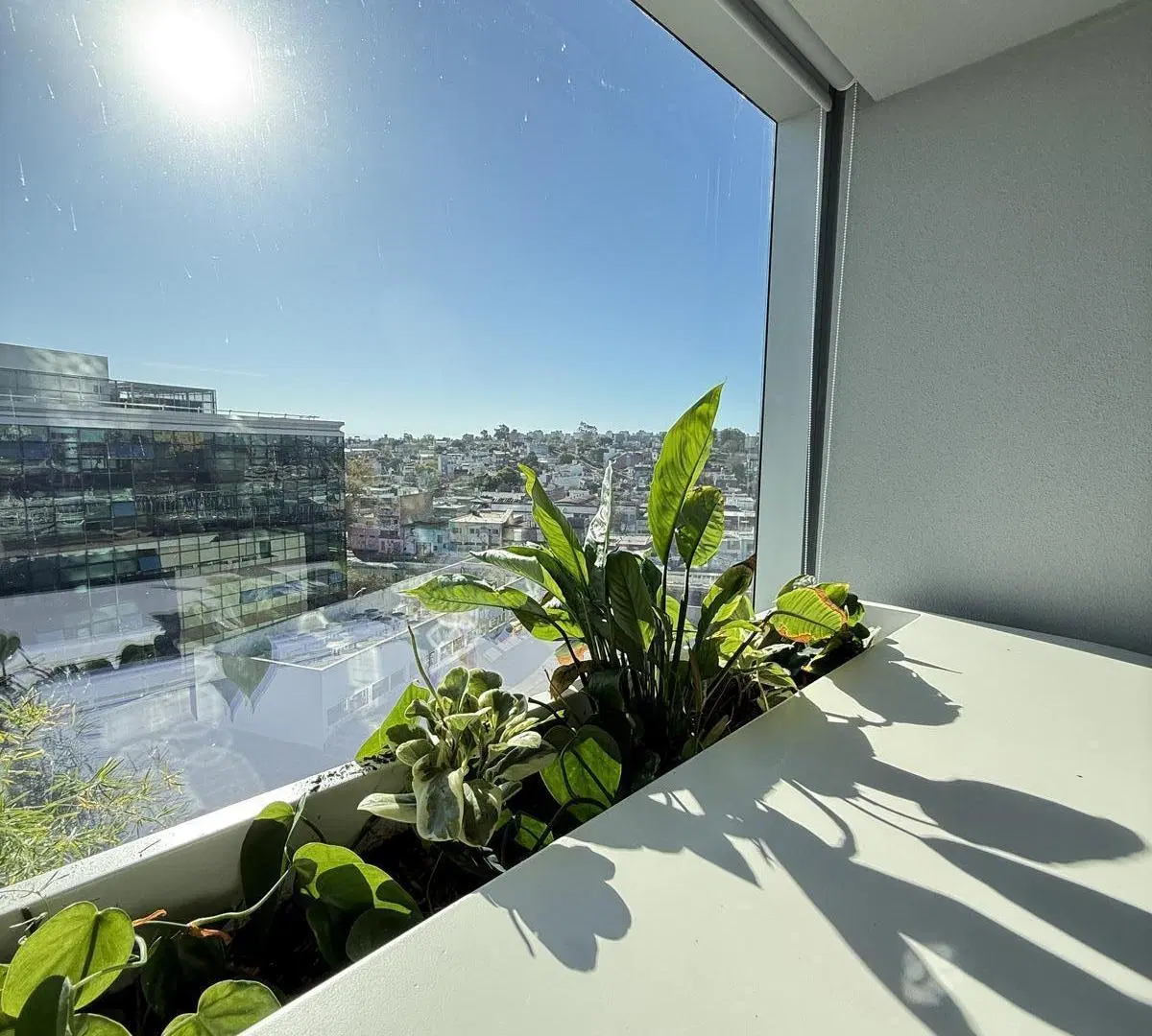 Espacio Corporativo Temporal en CAPITALINAS | 2 Oficinas Privadas Conectadas 5
