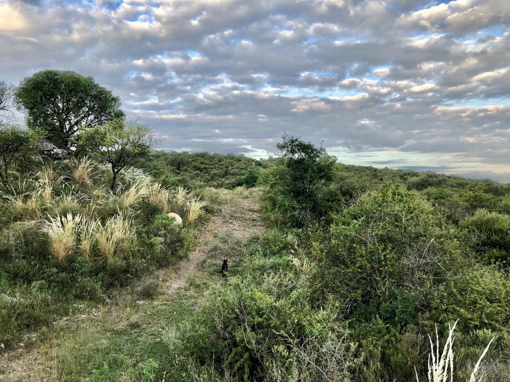Venta Campo 4 Hectáreas - Villa del Dique, Córdoba 3