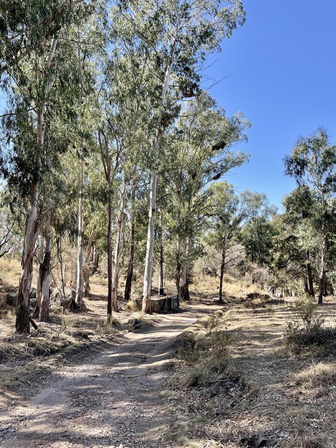 Venta Terreno 6 de 1.100 m² con Escritura - La Sierrita, Villa del Dique 5