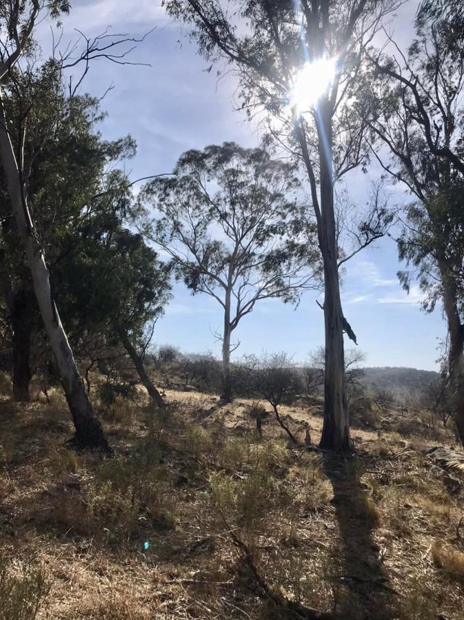 Foto de Venta Terreno 700m2 - Villa Del Dique, Córdoba, imagen 3