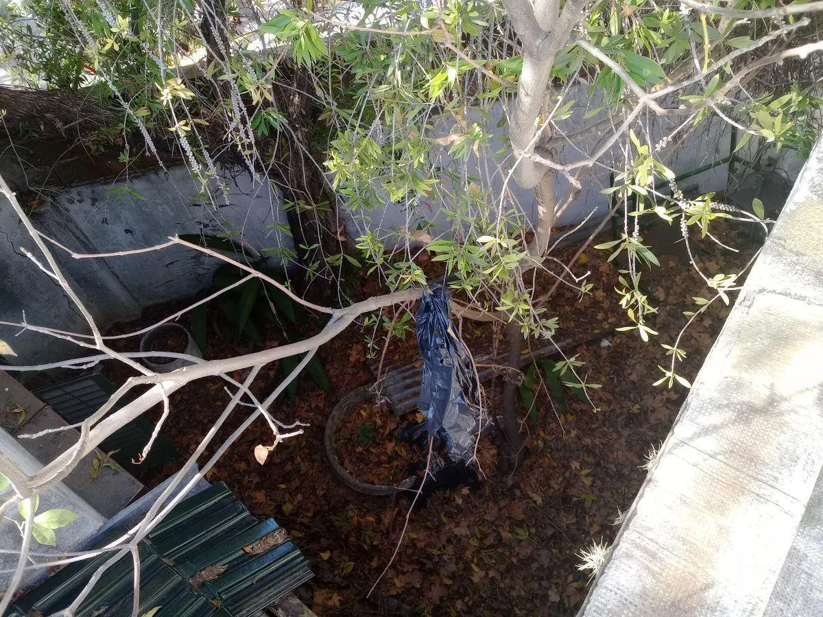 Venta de casa a reciclar con local comercial en Villa Devoto 4