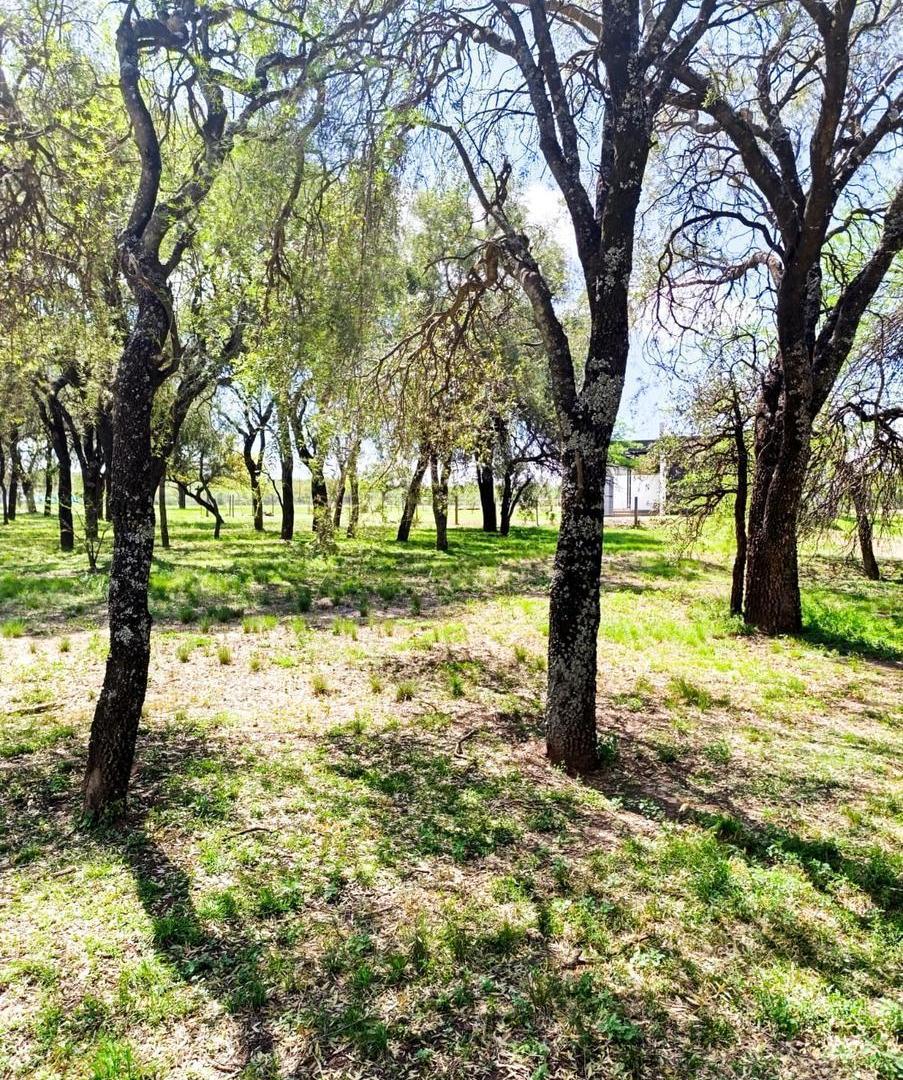 Foto de Lote en Venta en Country Causana zona Malagueño listo para construir, imagen 3