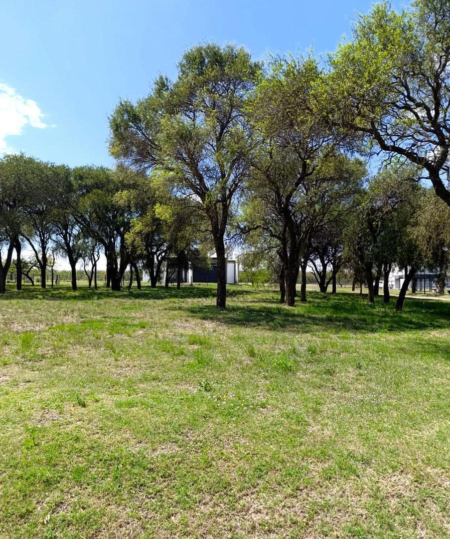 Foto de Lote en Venta en Country Causana zona Malagueño listo para construir, imagen 5
