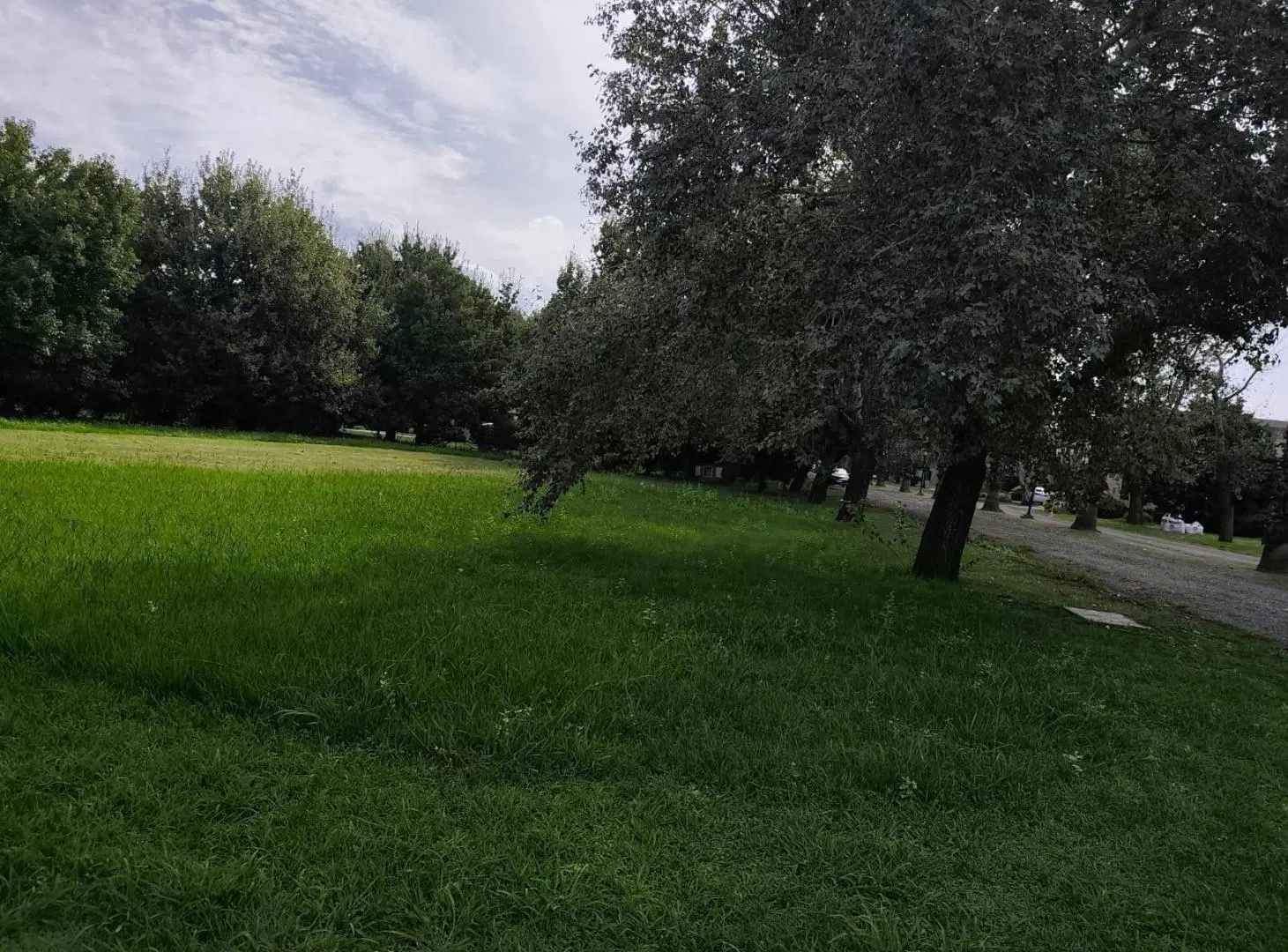 Terreno en Portal Del Sol 4