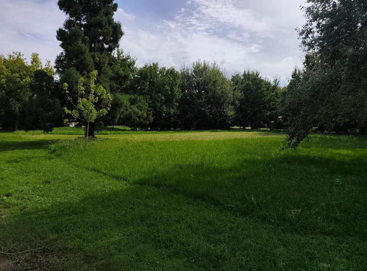 Terreno en Portal Del Sol 3