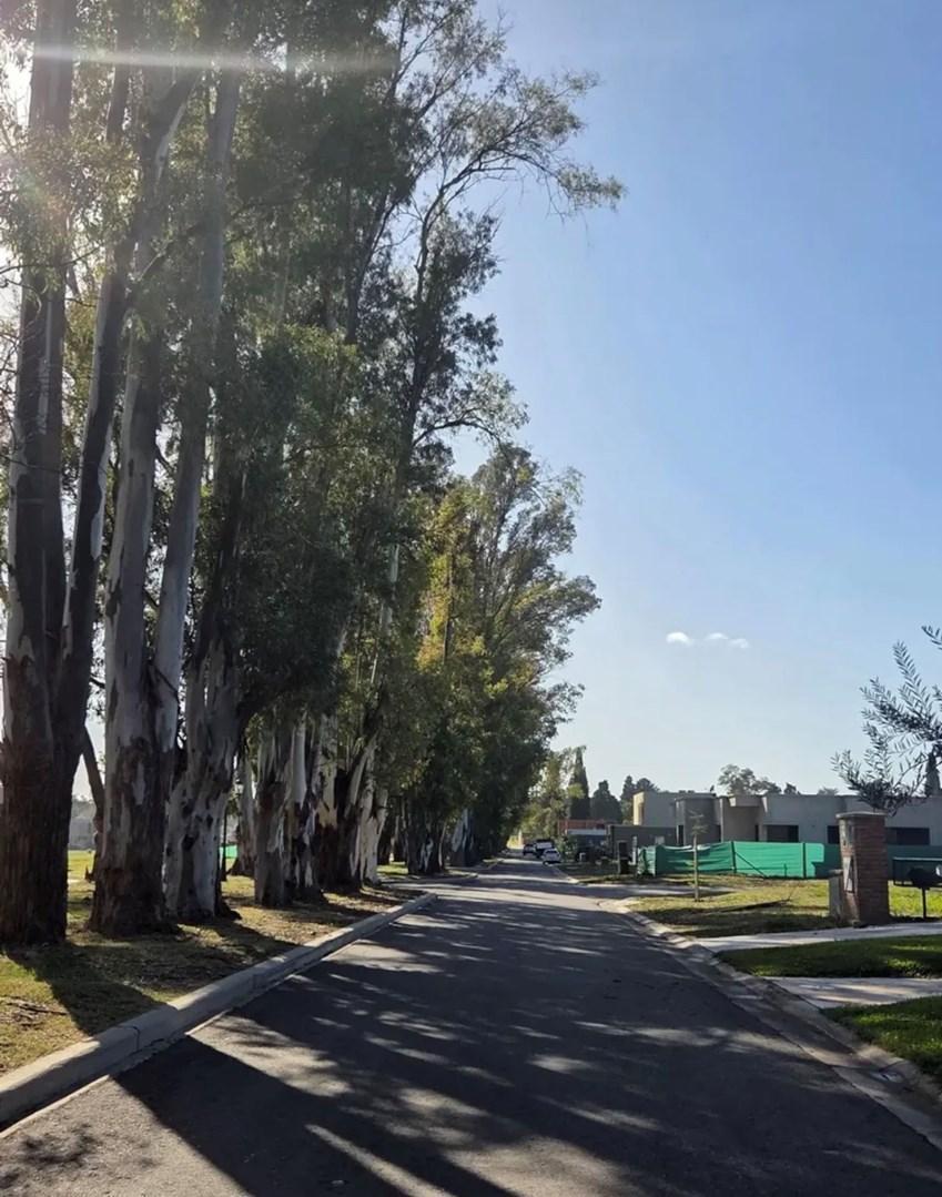 Foto de Terreno Lote en Venta en Santa Sofía, Pilar del Este, Pilar, imagen 2