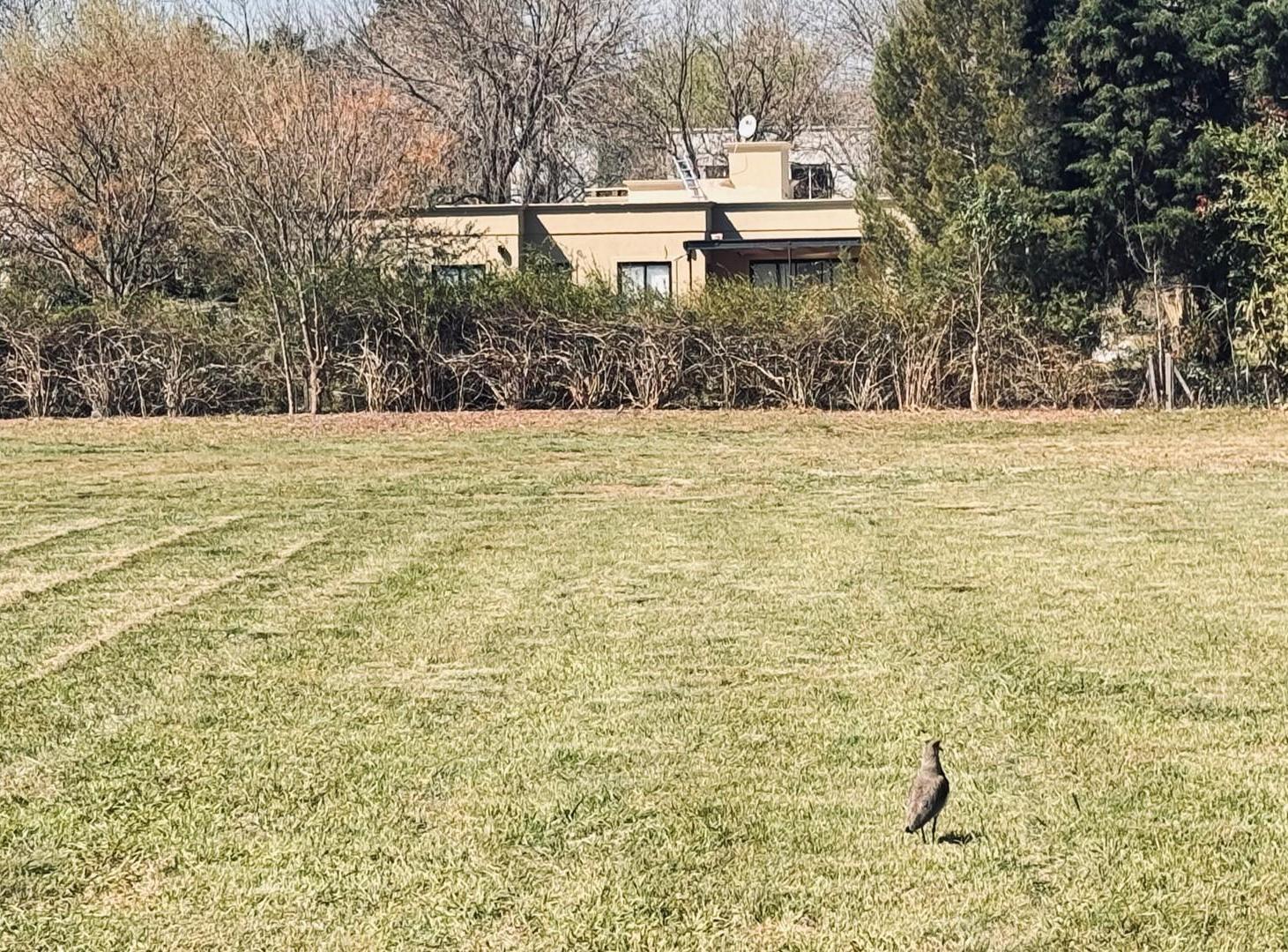 Foto de Terreno Lote en Venta en Altos de Manzanares, Pilar, G.B.A. Zona Norte, imagen 1