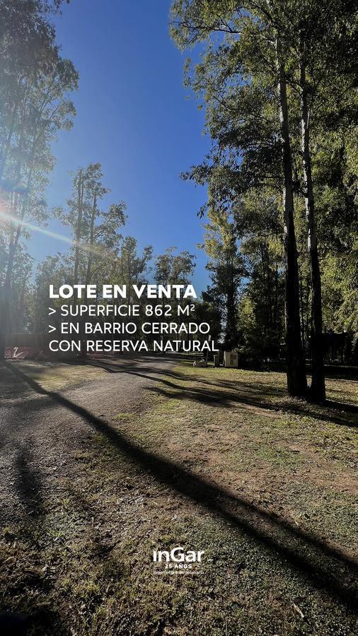 Foto de Terreno en Puerto Paraiso, imagen 2