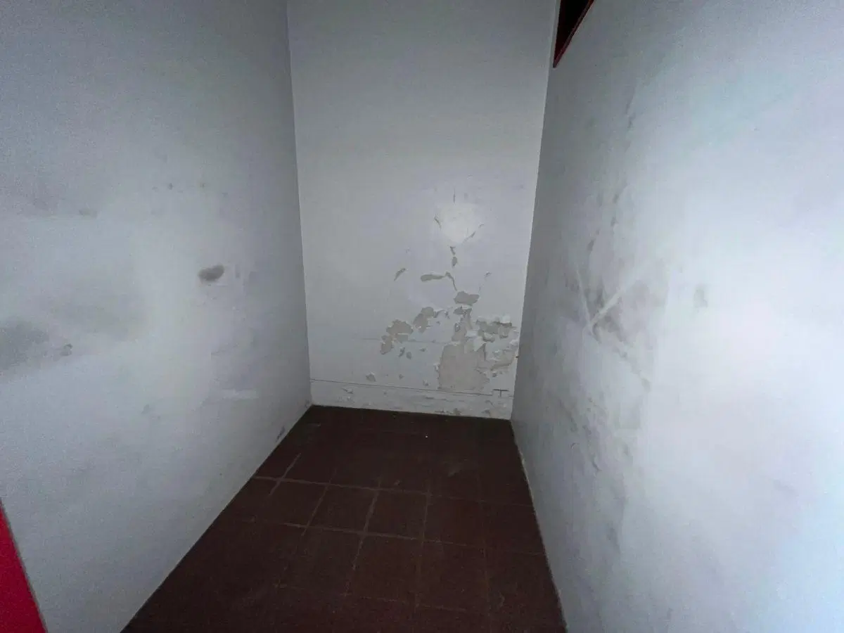 Deposito comercial con oficinas y terraza muy versatil 4