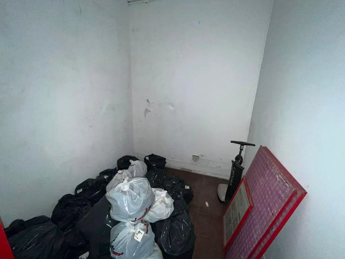 Deposito comercial con oficinas y terraza muy versatil 5