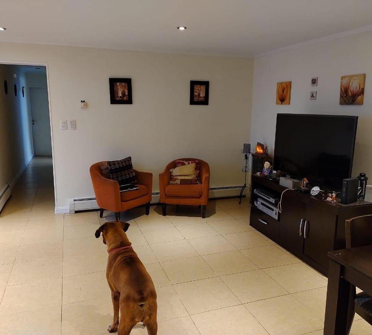 San Martín Centro. Hermosa Casa de 5 Ambientes con Amplio Pa 2