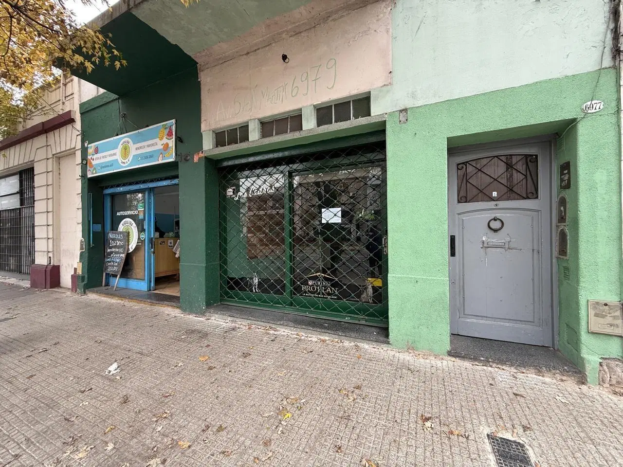 Local en Alquiler 1