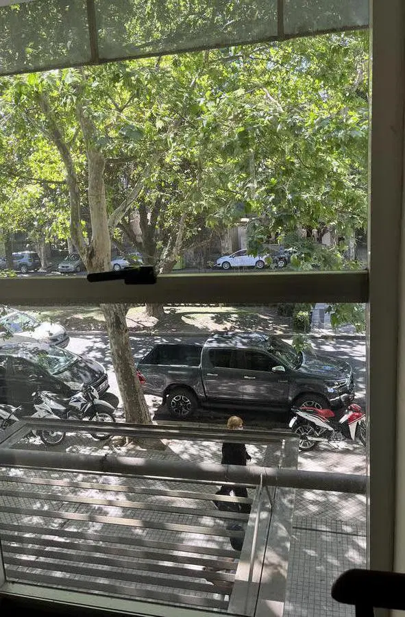 Local - Rosario 4