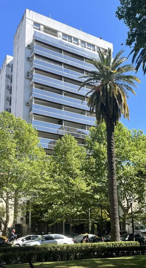 Local - Rosario 5
