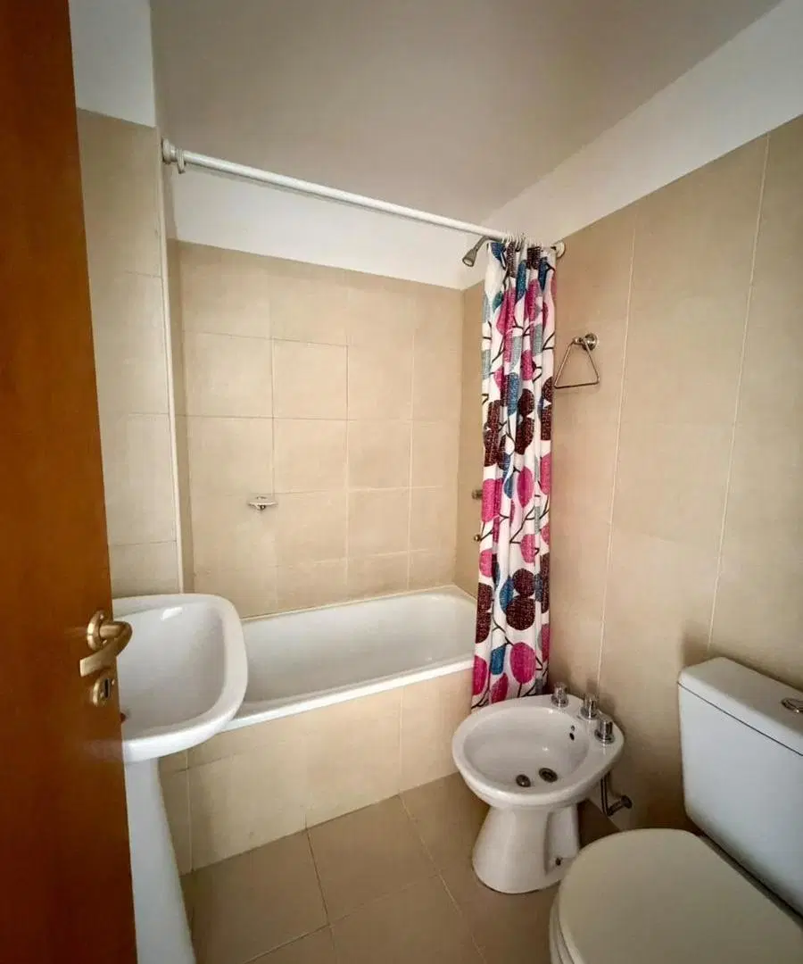 Departamento en Zona Centro 5