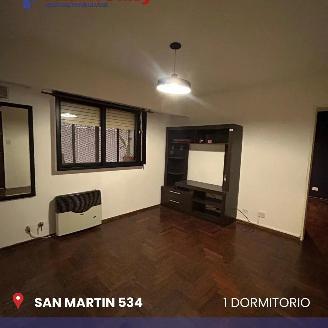 SAN MARTIN 534 1