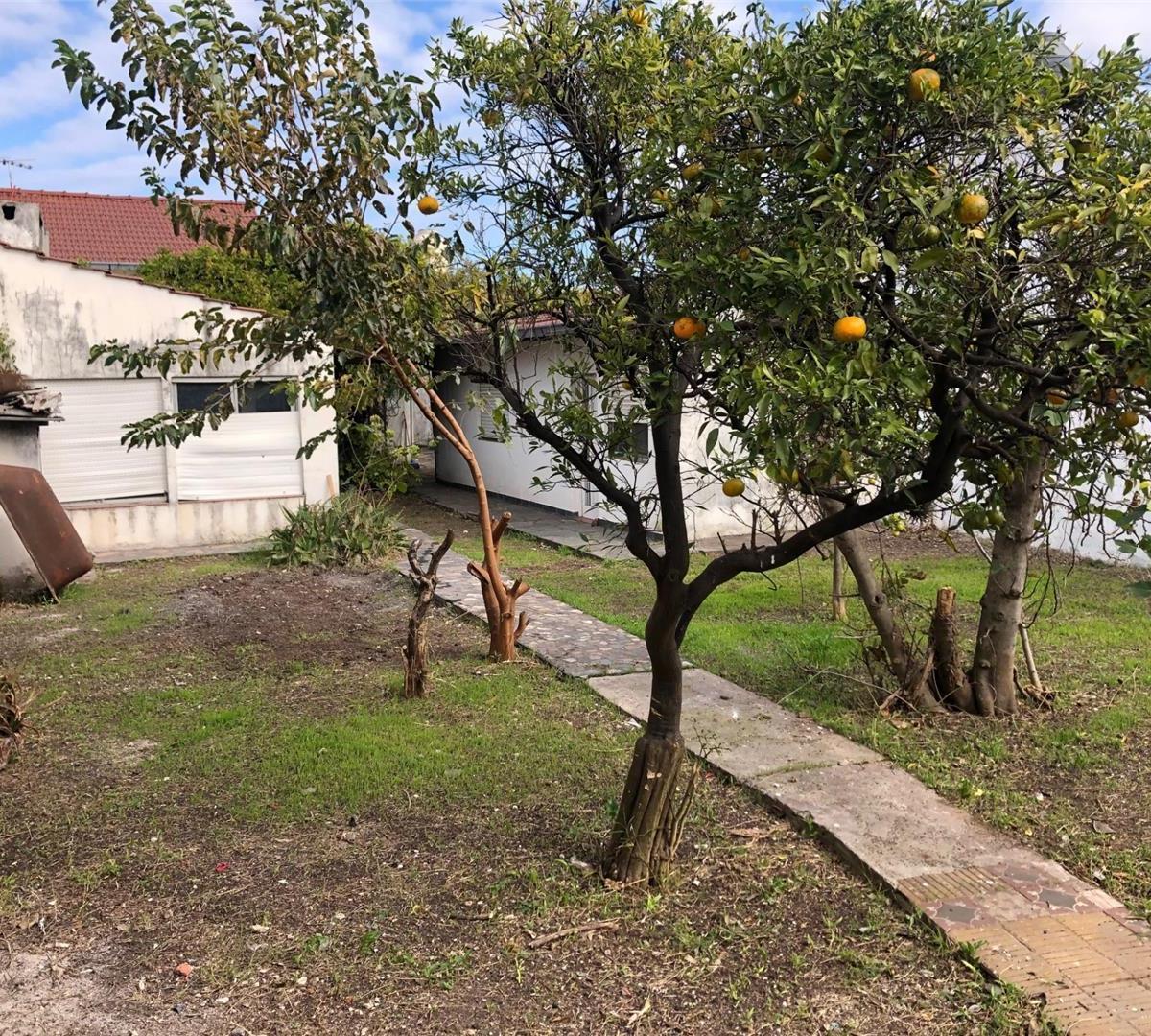 NUEVO PRECIO - CASA - 4 ½ AMB - LOTE 10X40 - EXTENSO FONDO LIBRE - A REMODELAR