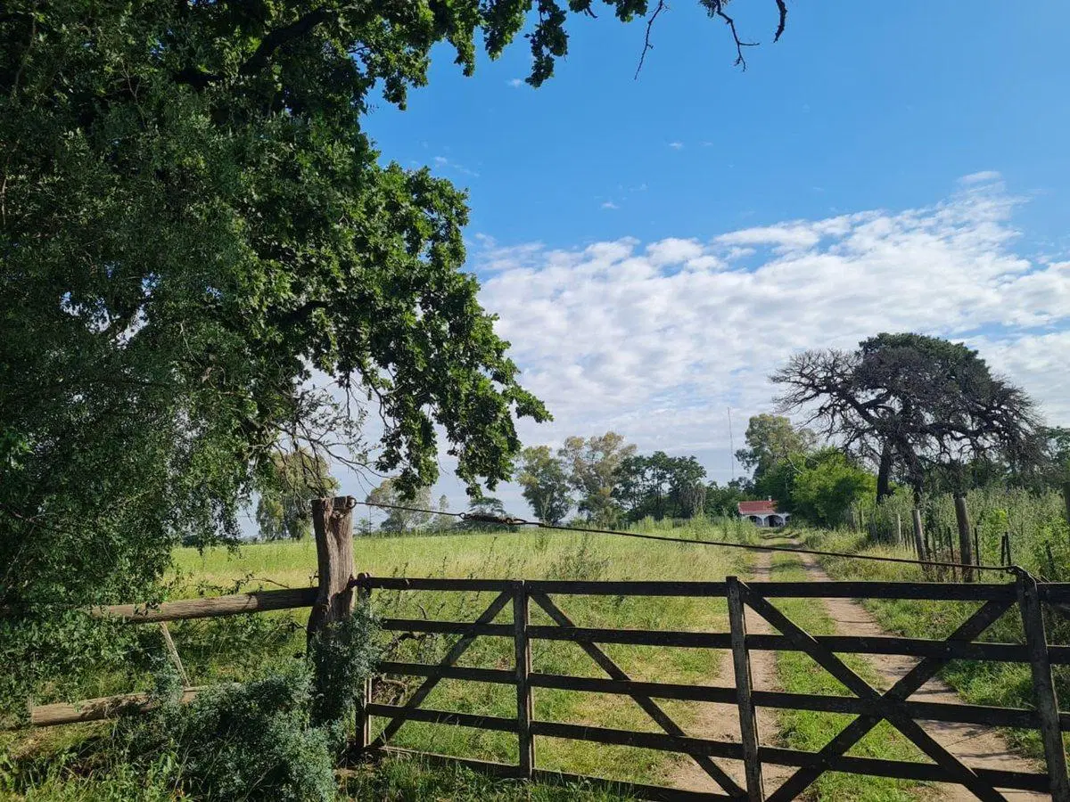 VENTA CHACRA VILLARS 11 HECTÁREAS  PERMUTA 2