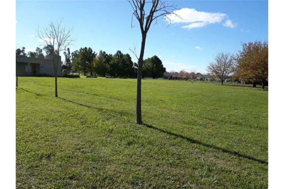 TERRENO EN VENTA GRAL. RODRÍGUEZ EL NACIONAL 3